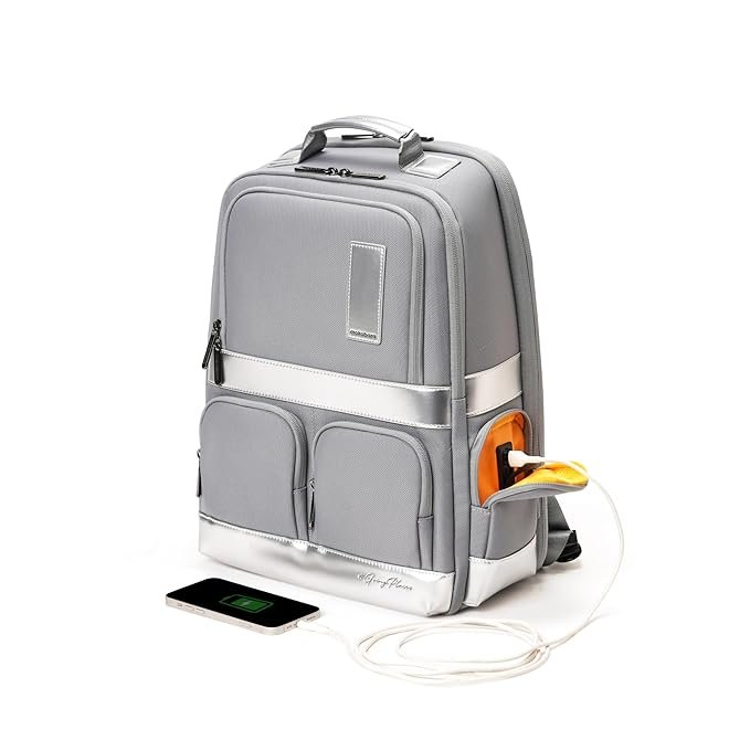 Work Backpack | Fits Up To 16 Inch Laptop, 25 Liter Capacity, Water-Resistant Nylon & Vegan Leather Trims | Adjustable Shoulder Straps & Ergonomic Design | Reflection Day (Sliver)