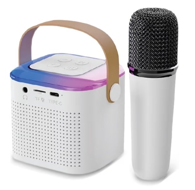 Kids mini mic set