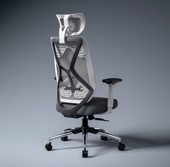 Office Chair With Seat Slider |Flybird Ergonomic Design|4D Adjustable Armrest|Multi Synchro Tilt Mechanism|Adjustable Lumbar Support |3 Years Warranty(White & Grey)